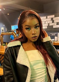 Atlas - Acompañantes transexual in Nairobi Photo 1 of 1