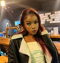 Atlas - Acompañantes transexual in Nairobi