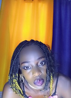 Lola VC and Videos 24/7 Hook Up - Acompañantes transexual in Nairobi Photo 1 of 11