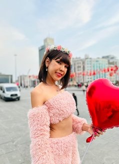 Massage sexy(Anal 3some Bdsm) - escort in Bangkok Photo 17 of 24