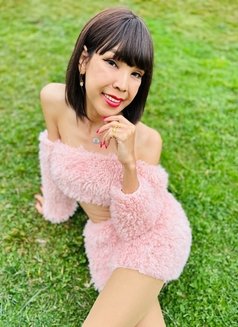 Sexy Japaneseかわいい言語 (Anal 3some Bdsm) - escort in Phuket Photo 20 of 24