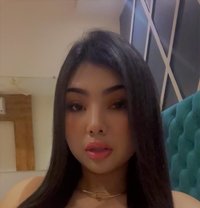 Attractive Thai North South All Availabl - puta in Chennai