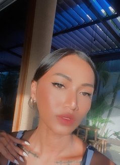 Bianca bali - Transsexual escort in Bali Photo 1 of 7
