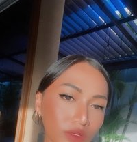 Bianca bali - Transsexual escort in Bali