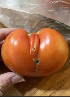 Audrey Hepburn - companion in Newcastle upon Tyne Photo 1 of 2