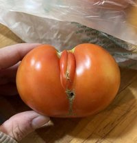 Audrey Hepburn - Acompañante in Newcastle upon Tyne