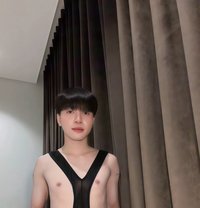 Augus in Jeddah - Transsexual escort in Jeddah