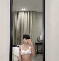 Augus in Jeddah - Transsexual escort in Jeddah
