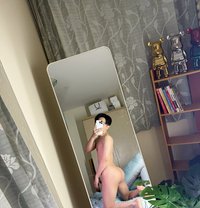 Augus in Jeddah - Transsexual escort in Jeddah