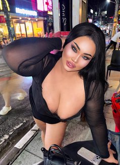 AUGUST CHUBBY BIG BOOBS1000CC - Transsexual escort in Phuket Photo 9 of 21