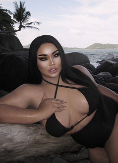 AUGUST CHUBBY BIG BOOBS1000CC - Transsexual escort in Phuket Photo 4 of 21