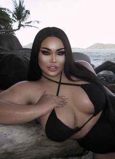 AUGUST CHUBBY BIG BOOBS1000CC - Transsexual escort in Phuket Photo 1 of 21
