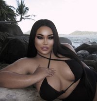AUGUST CHUBBY BIG BOOBS1000CC - Transsexual escort in Phuket Photo 1 of 21
