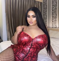 AUGUST CHUBBY BIG BOOBS1000CC - Transsexual escort in Phuket