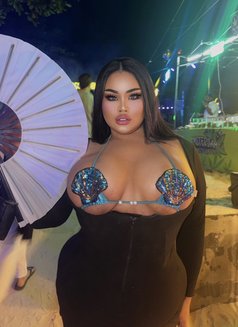 AUGUST CHUBBY BIG BOOBS1000CC - Transsexual escort in Phuket Photo 21 of 21
