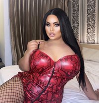 AUGUST CHUBBY BIG BOOBS1000CC - Transsexual escort in Phuket