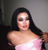 AUGUST CHUBBY LADY BOY - Acompañantes transexual in Phuket Photo 1 of 20