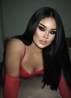 AUGUST CHUBBY LADY BOY - Transsexual escort in Phuket Photo 2 of 20
