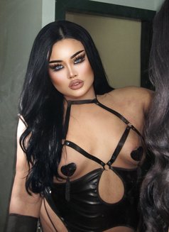 AUGUST CHUBBY LADY BOY - Transsexual escort in Phuket Photo 1 of 19