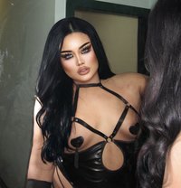 AUGUST CHUBBY LADY BOY - Transsexual escort in Phuket Photo 1 of 19