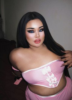AUGUST CHUBBY LADY BOY - Transsexual escort in Phuket Photo 13 of 19