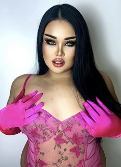 AUGUST CHUBBY LADY BOY - Acompañantes transexual in Phuket Photo 6 of 22