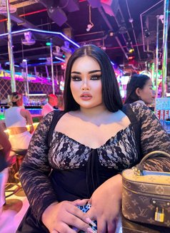 AUGUST CHUBBY LADY BOY - Acompañantes transexual in Phuket Photo 22 of 22