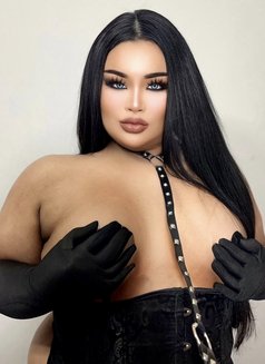 AUGUST CHUBBY LADY BOY - Transsexual escort in Phuket Photo 2 of 22