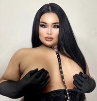 AUGUST CHUBBY LADY BOY - Transsexual escort in Phuket