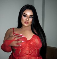 AUGUST CHUBBY LADY BOY - Transsexual escort in Phuket Photo 8 of 18