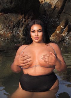AUGUST CHUBBY LADY BOY - Acompañantes transexual in Phuket Photo 7 of 21