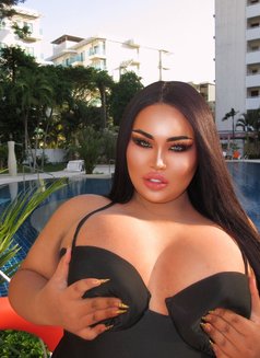 AUGUST CHUBBY LADY BOY - Transsexual escort in Phuket Photo 7 of 22
