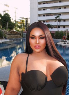 AUGUST CHUBBY LADY BOY - Transsexual escort in Phuket Photo 8 of 22