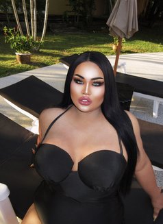 AUGUST CHUBBY LADY BOY - Transsexual escort in Phuket Photo 10 of 22