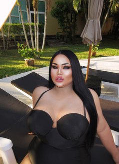 AUGUST CHUBBY LADY BOY - Transsexual escort in Phuket Photo 11 of 22
