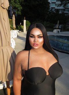 AUGUST CHUBBY LADY BOY - Transsexual escort in Phuket Photo 9 of 22