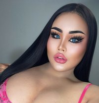 AUGUST CHUBBY LADY BOY - Transsexual escort in Phuket
