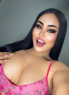 AUGUST CHUBBY LADY BOY - Transsexual escort in Phuket Photo 6 of 22