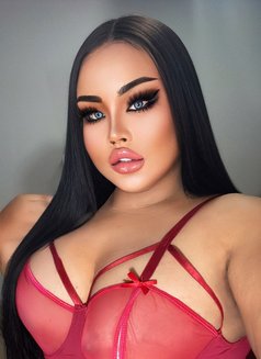 AUGUST CHUBBY LADY BOY - Transsexual escort in Phuket Photo 9 of 25