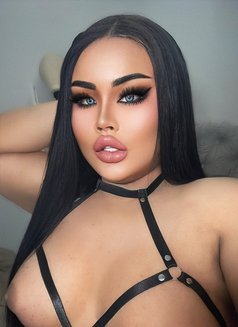 AUGUST CHUBBY LADY BOY - Transsexual escort in Phuket Photo 11 of 25