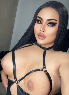 AUGUST CHUBBY LADY BOY - Transsexual escort in Phuket Photo 5 of 22