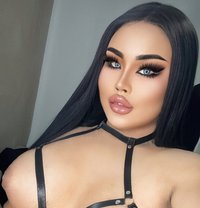 AUGUST CHUBBY LADY BOY - Transsexual escort in Phuket