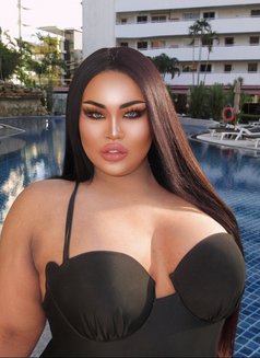 AUGUST CHUBBY LADY BOY - Transsexual escort in Phuket Photo 13 of 21