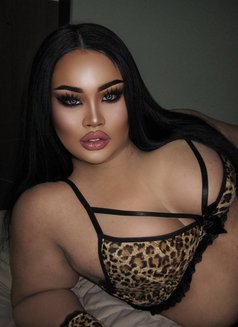 AUGUST CHUBBY LADY BOY - Transsexual escort in Phuket Photo 11 of 25