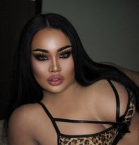 AUGUST CHUBBY LADY BOY - Transsexual escort in Phuket