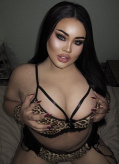 AUGUST CHUBBY TS - Transsexual escort in Phuket Photo 1 of 23