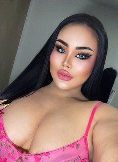 August sweet top& bottom - Transsexual escort in Phuket Photo 4 of 5