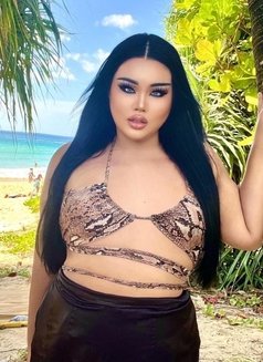 AUGUST SWEET TOP& BOTTOM VVIP🖤 - Transsexual escort in Phuket Photo 18 of 21