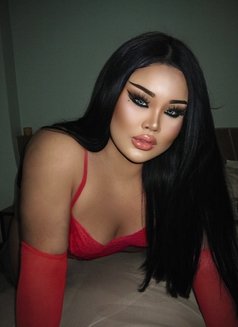 AUGUST CHUBBY LADY BOY - Transsexual escort in Phuket Photo 4 of 17