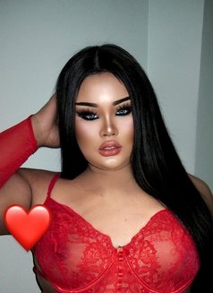 AUGUST CHUBBY LADY BOY - Transsexual escort in Phuket Photo 8 of 17